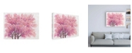 Trademark Global Tim OToole Pink Cherry Blossom Tree I Canvas Art - 19.5" x 26"